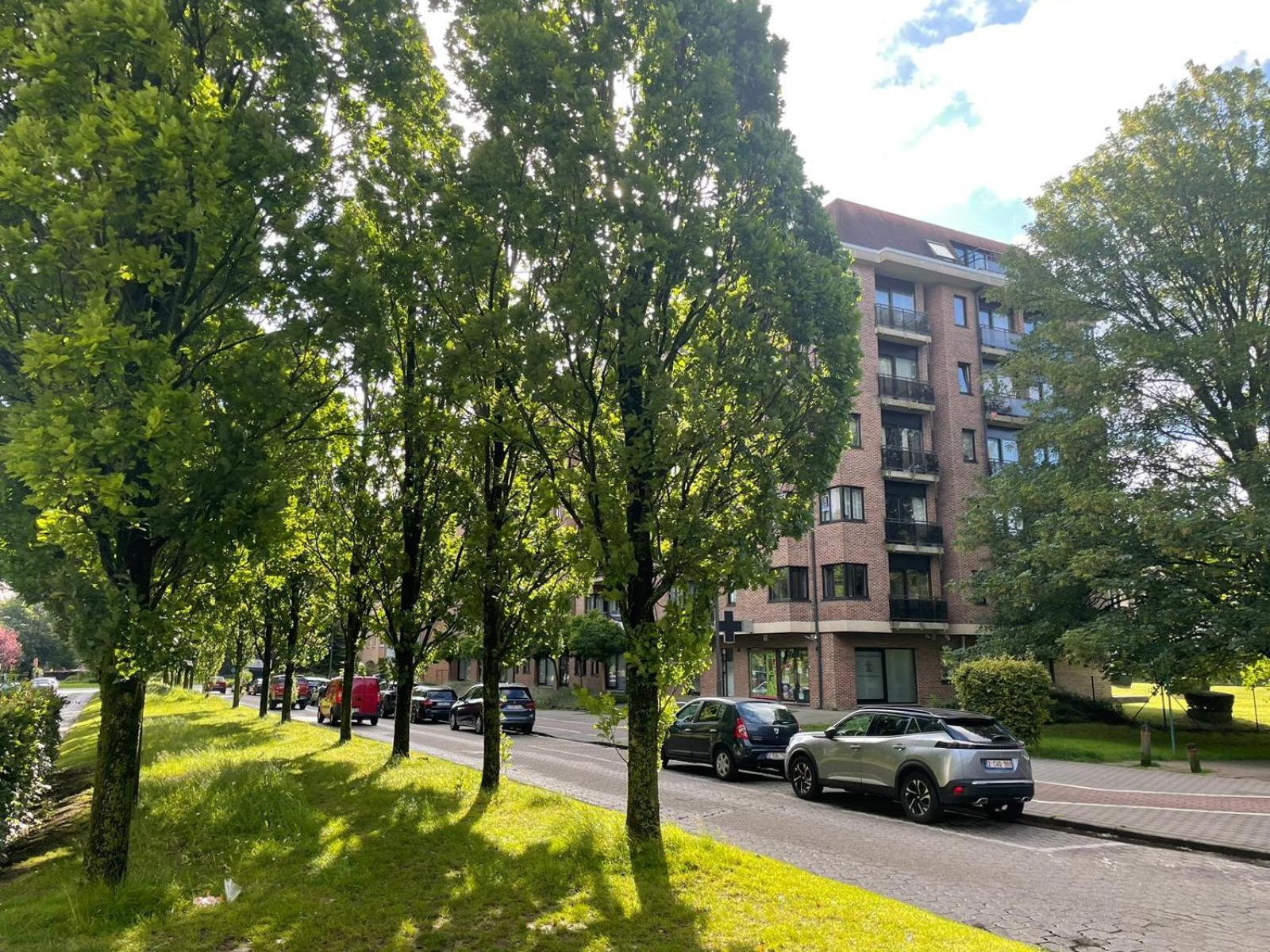 One Bedroom Fully Equipped Apartment With Terrace Brussel Eksteriør bilde